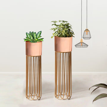 Artisan Arboretum Gold Stand & Ross Gold Pot Planters Set of 2