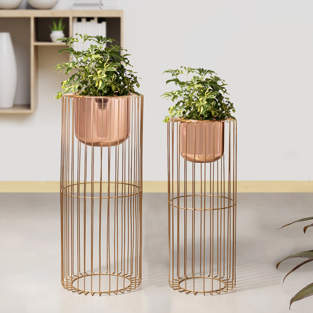 Botanic Couture Gold Stand & Ross Gold Pot Planters Set of 2