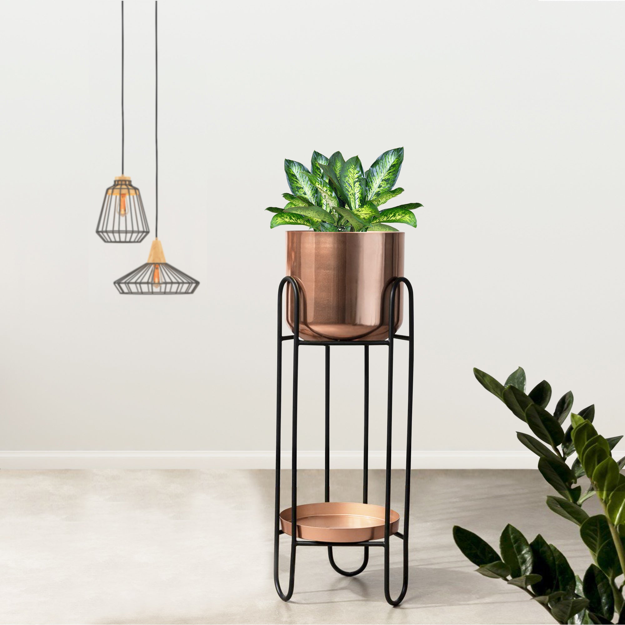 Dual Crown Black Stand & Ross Gold Finish Pot  - Medium Size Planter