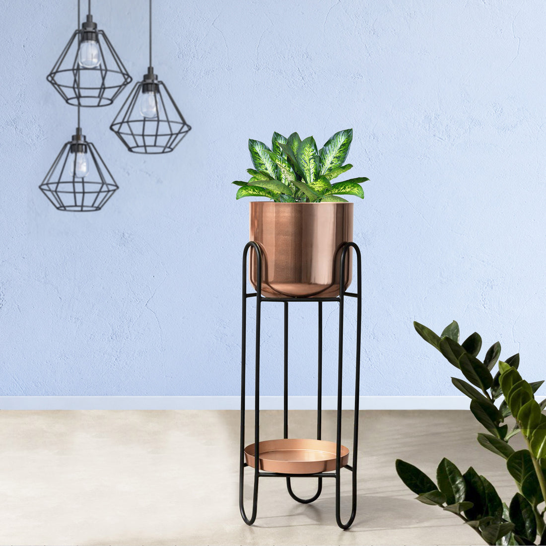 Dual Crown Black Stand & Ross Gold Finish Pot  - Medium Size Planter