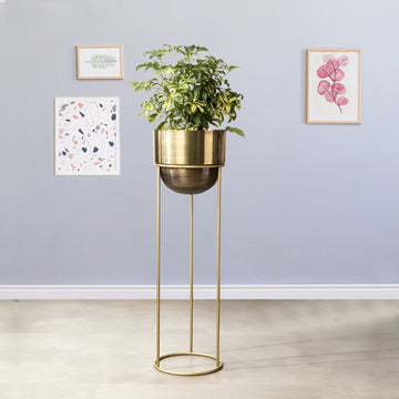 Modish Golden Finish - Large Size Planter